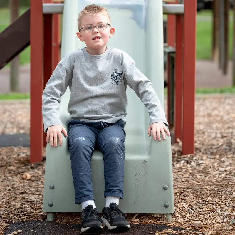 faqs and resources slide play